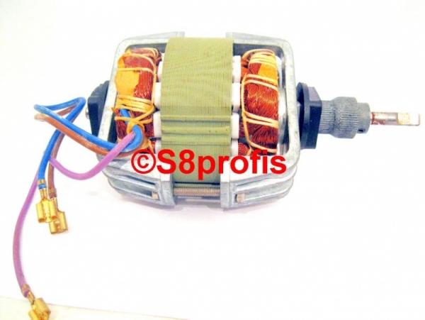 Bauer-Motor